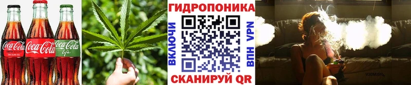 Cannafood конопля Фёдоровский