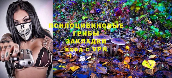 метадон Арсеньев