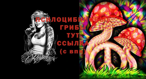 круглые Аркадак