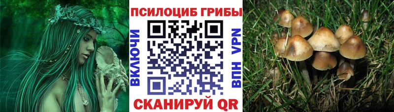 Псилоцибиновые грибы ЛСД  блэк спрут ссылки  Фёдоровский 